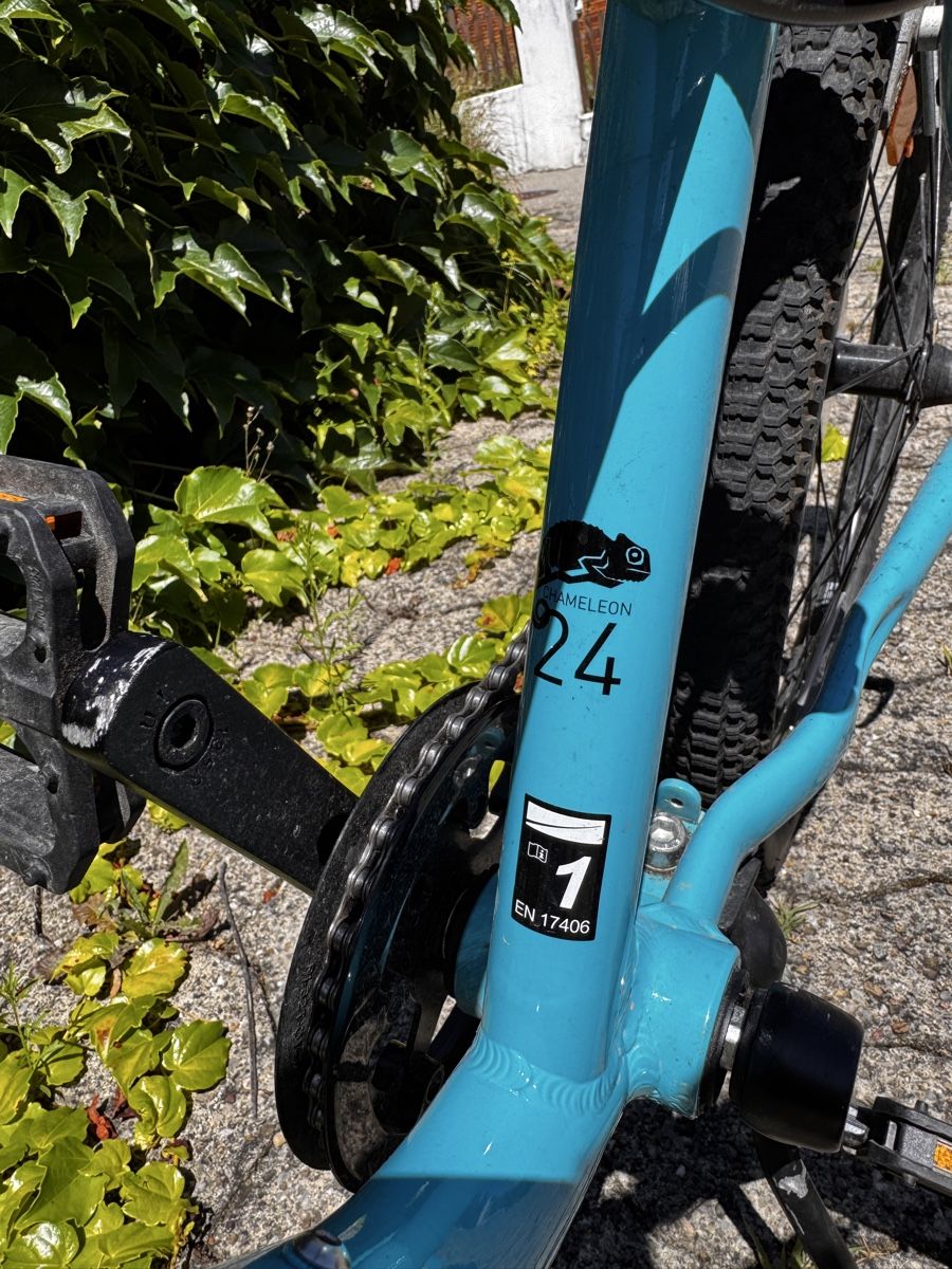 Naloo Biciclette: Naloo Chameleon 24 Zoll Kindervelo – Usato da Rüti ZH venduto da bashki 2