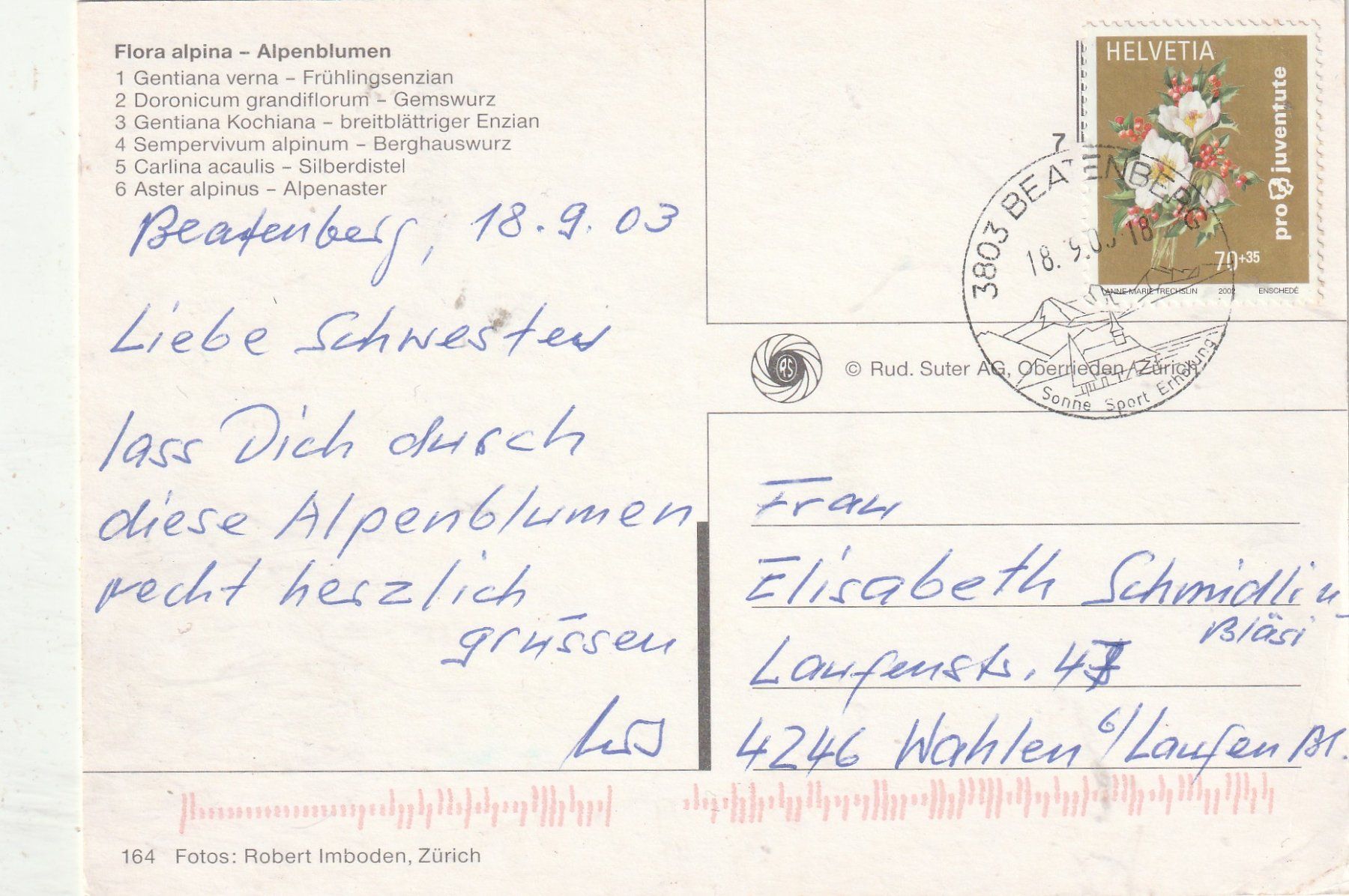Cartoline postali: Blumenkarte – Usato da Lumbrein venduto da made02 1