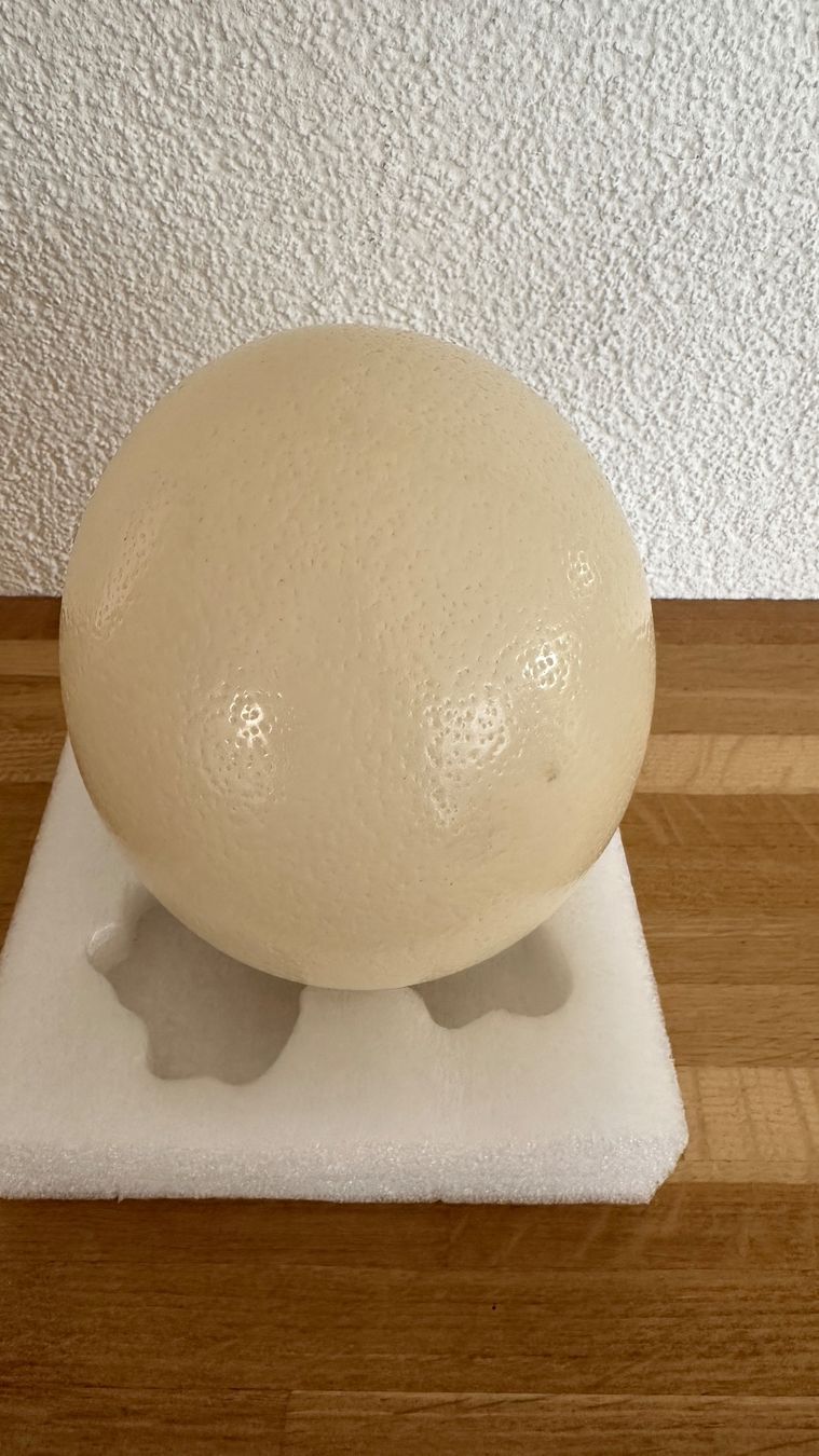 Tutte le decorazioni: Straussenei Natur – Usato da Winterthur venduto da Secondhand-Family 4