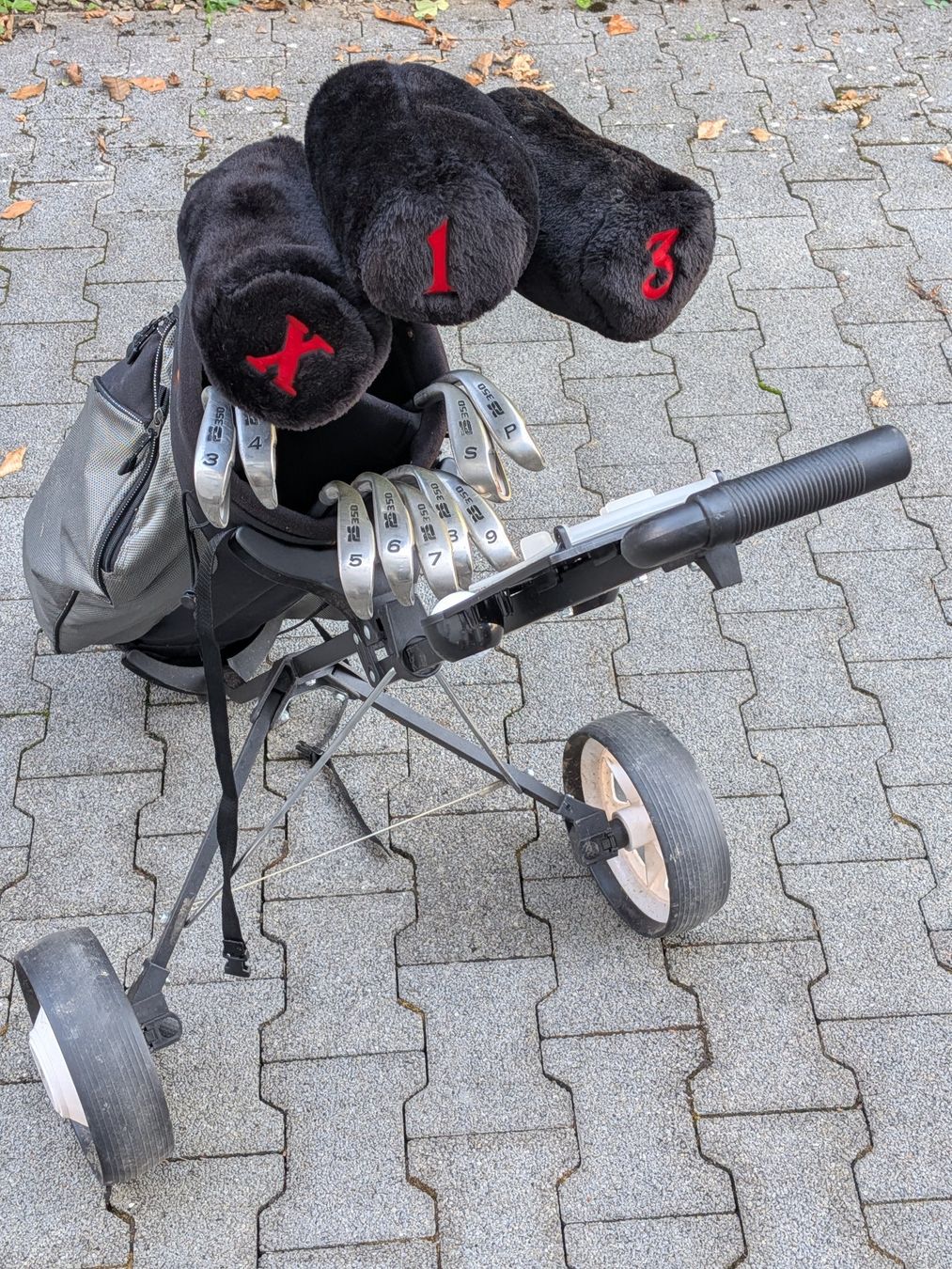 Schläger & Sets: Komplettes Golfset inkl. Bag & Trolley – Neu (gemäss Beschreibung) aus Wädenswil von Mamacita60 1