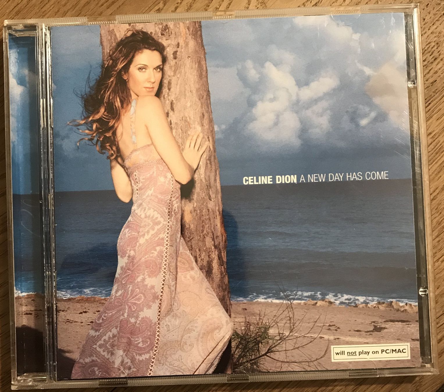 CD: CD- Celine Dion - A New Day Has Come – Usato da Guntershausen venduto da Gloominati