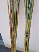 Bambusstangen Dekoration, oder Aufbinden von Pflanzen 2Bünde