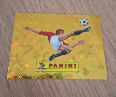 Panini WM 2026