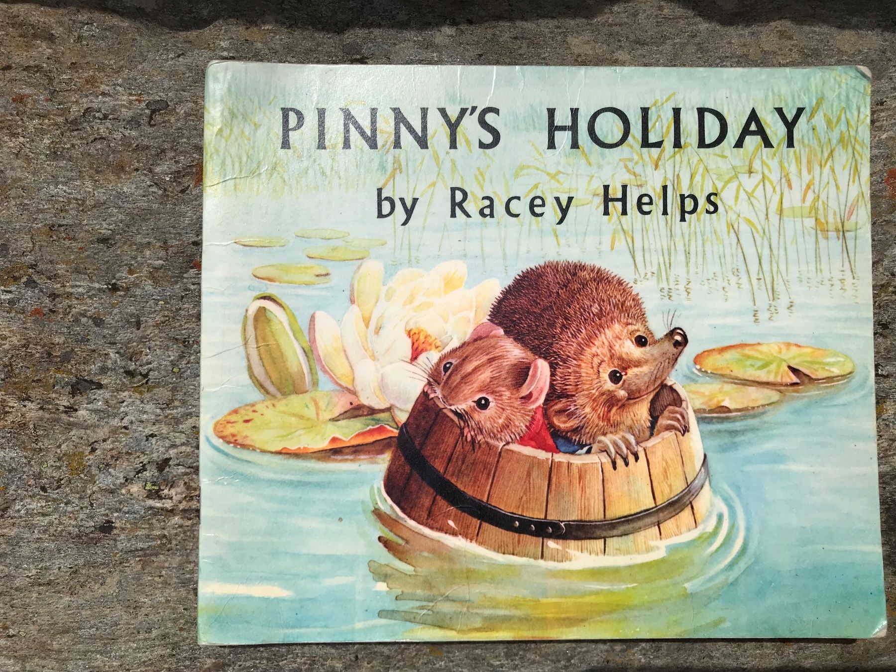 Livres: Pinny‘s Holiday – Neuf (Voir description) à Zürich par almaluisa