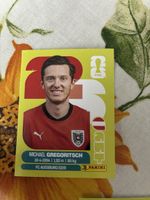Panini Sticker Michael Gregoritsch AUT 19 Top Zustand