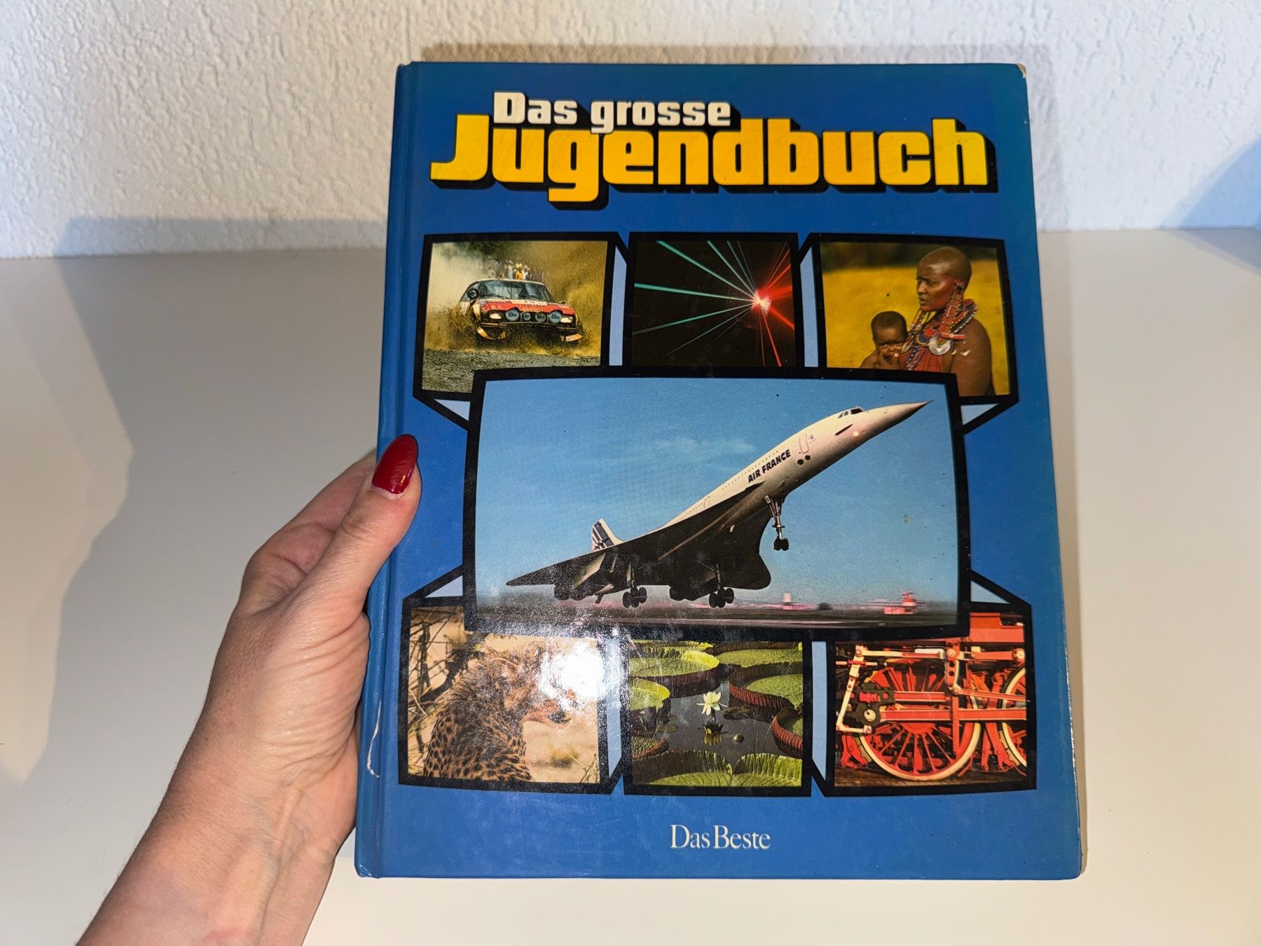 Bücher: BUCH: Das grosse Jugendbuch, 24te Folge – Gebraucht aus Grosswangen von Second_hand_paradise