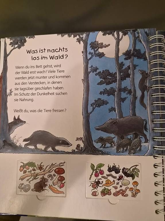 Libri: Wieso Weshalb Warum? junior  Der Wald – Usato da Gümligen venduto da tam_m9pl 1