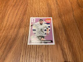 Valverde regular panini