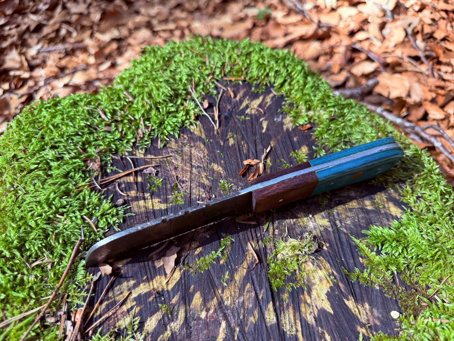 Accessoires: Damast Bushcraft Messer Sheepfoot Blade – Neuf avec emballage d'origine à Luzern par asciva 4