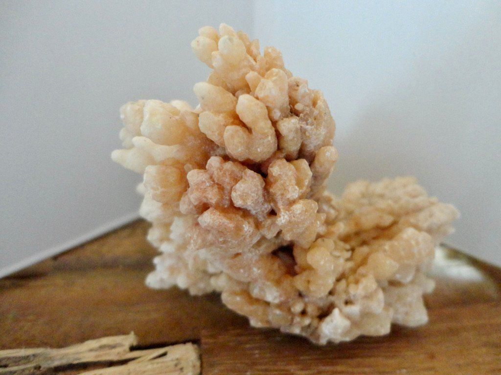 Edelsteine: Calcit- Stufe Korallenform – Neu (gemäss Beschreibung) aus Biberist von Steine 2