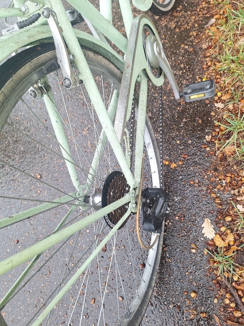 Biciclette: Damenvelo – Usato da Tamins venduto da VW99 2