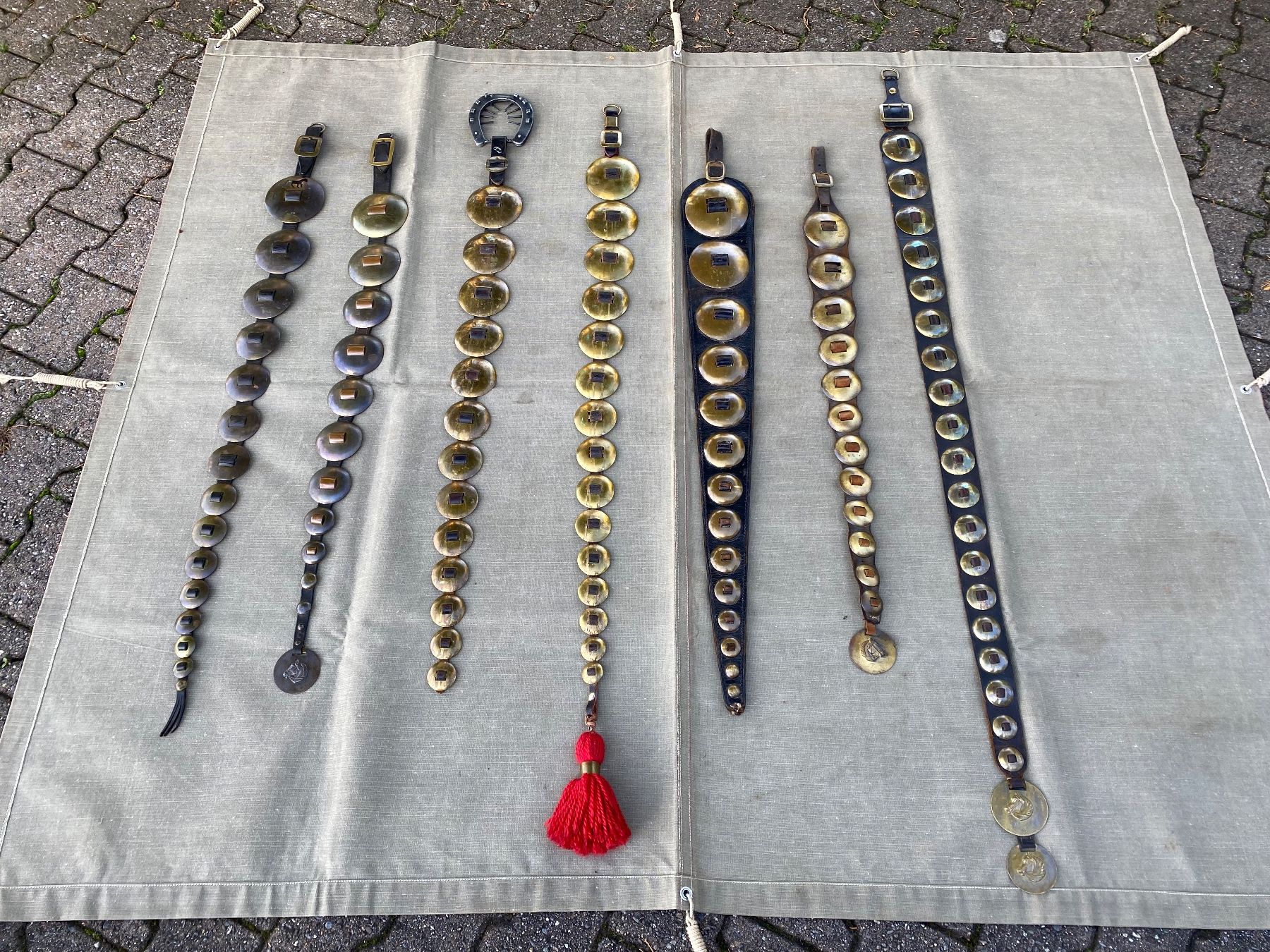 Campanacci mucche: 7 schöne Staatsriemen – Usato da Feldbach venduto da Fea1