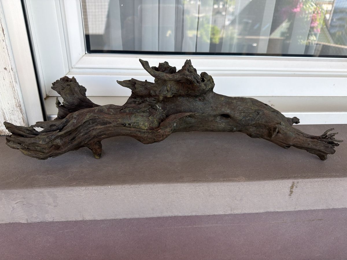 Toutes les décorations: Grosse Aquarium Wurzel – D'occasion à Kriens par Bergstern86