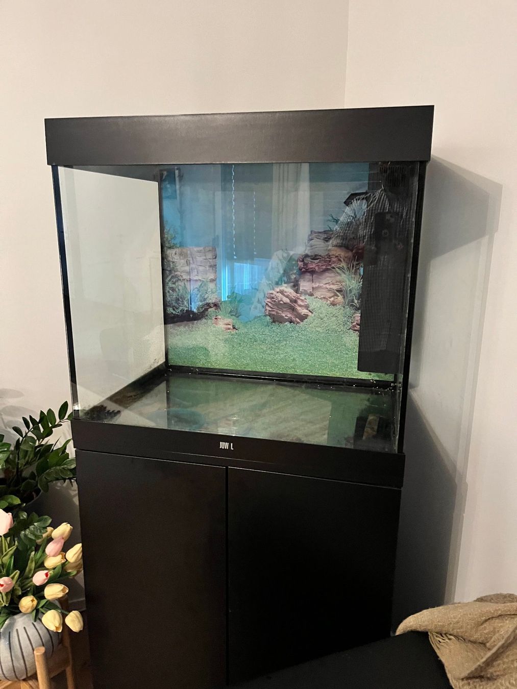 Juwel Acquari: Juwel 200L Aquarium mit LED + Unterschrank – Usato da Gossau ZH venduto da bij_y9mb 3
