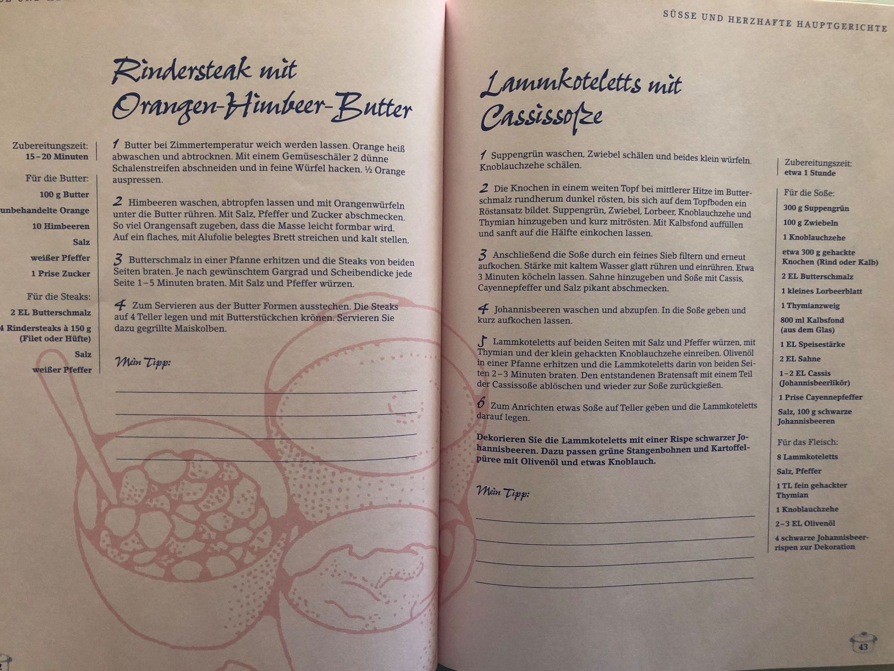 Libri: Das Landfrauen Beerenbuch – Usato da Pfäffikon ZH venduto da Wacardo 6