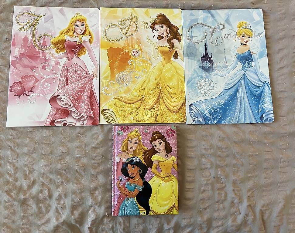Blocchi: Disney Pricess Set – Usato da Mörschwil venduto da nvcmi