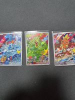 3 Cartes Pokémon Mudkip Treecko Torchic