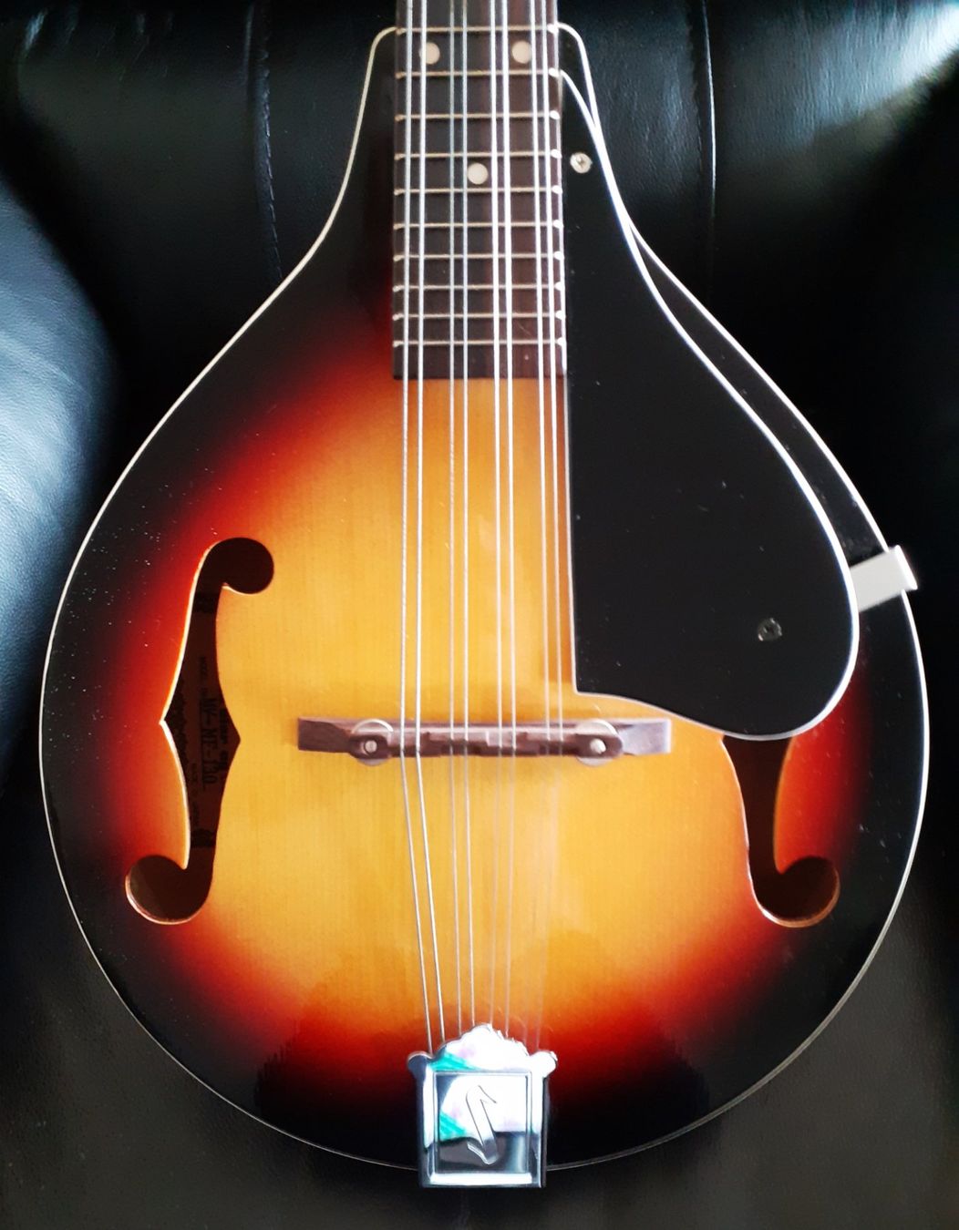 Strumenti musicali: Mandolin MARVIN BELLO   + Fodero – Usato da Locarno venduto da Antonio41 3
