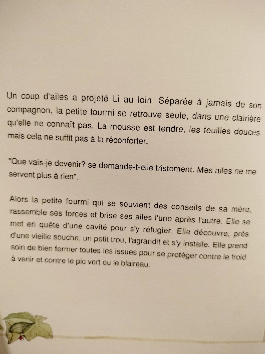 Bücher: La Fourmi ailée Dominique Grisoni – Gebraucht aus Cortaillod von rozinna 8