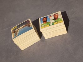 Panini WM 1994 492 Sticker