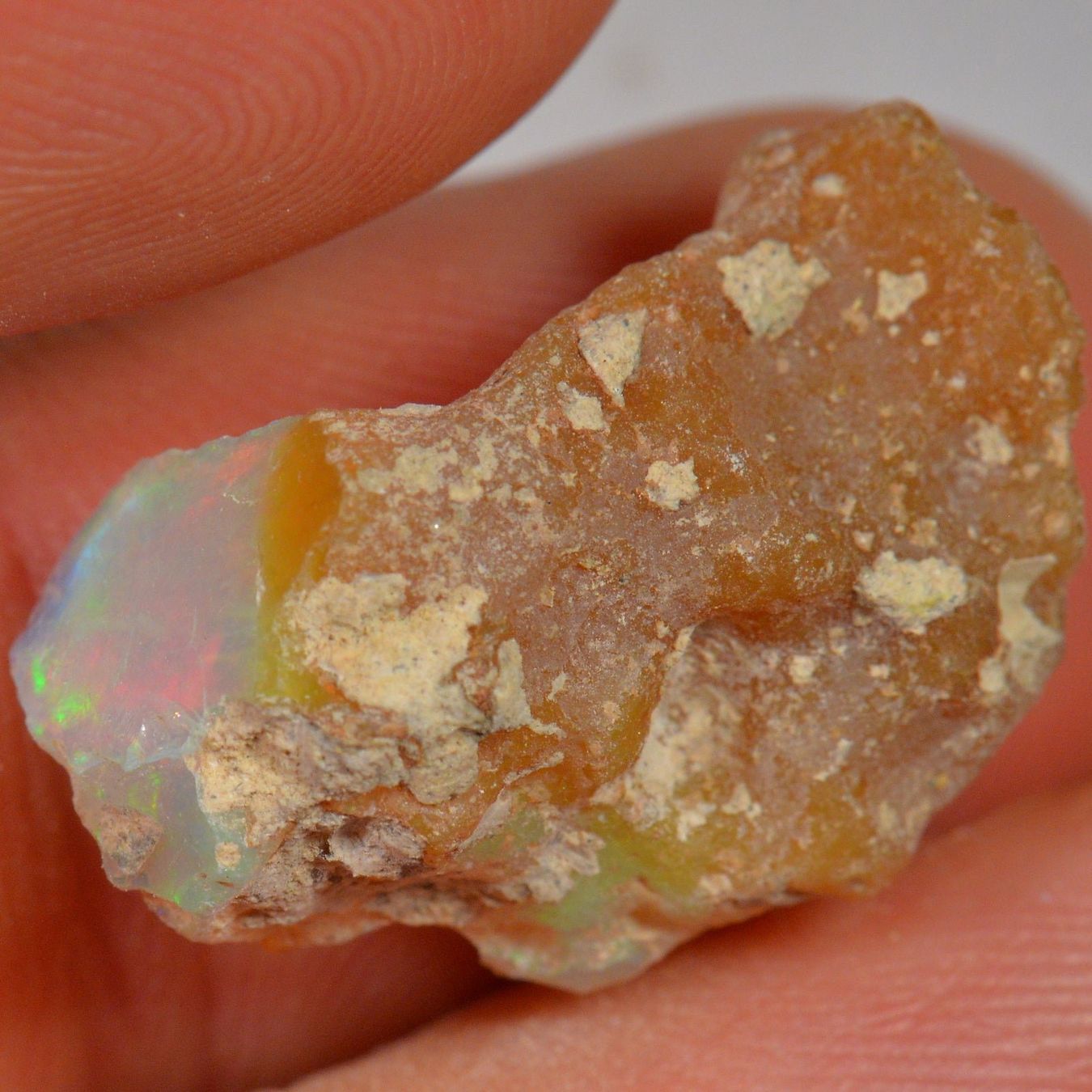 Pietre preziose: 10.7 Karat - Roher Äthiopischer Welo Opal – Nuovo (secondo la descrizione) da Rüti ZH venduto da DeinOpal 2