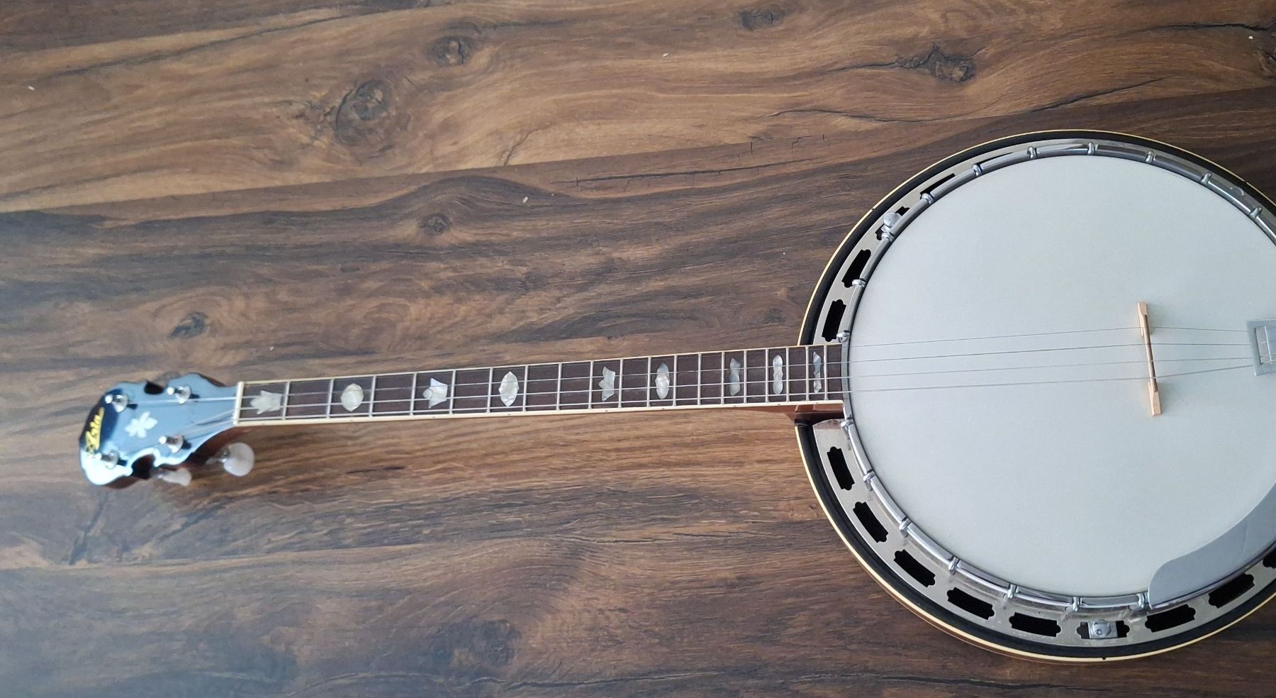 Aria Strumenti musicali: Banjo Aria – Usato da Laupersdorf venduto da walmeister62