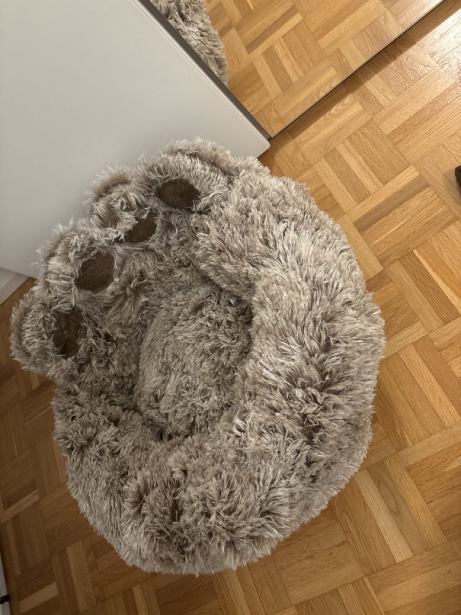Cucce & Letti: Hunde-/Katzenbett klein – Nuovo (secondo la descrizione) da Zürich venduto da Yasmincayo 1