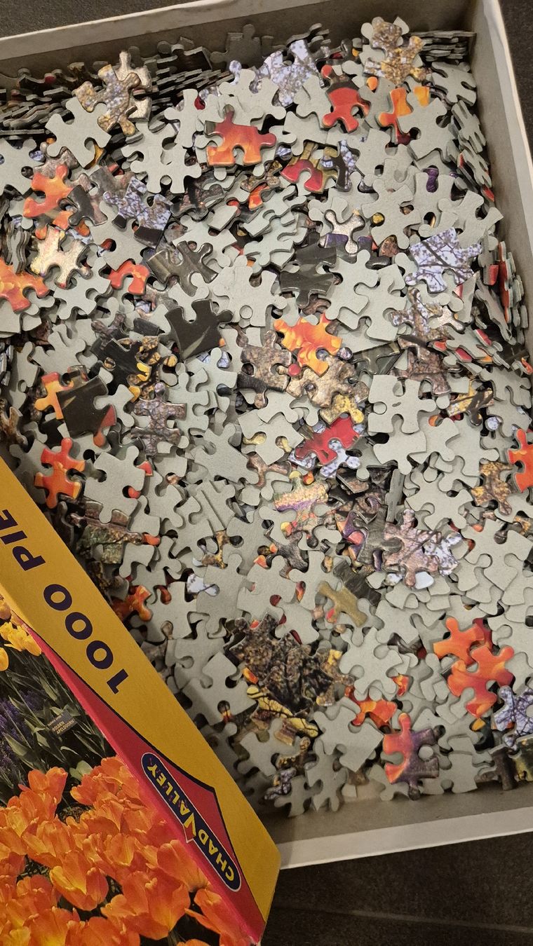 Puzzle: Chad Valley Puzzle, 1000 Teile, Frühlingslandschaft – Usato da Schafisheim venduto da LittleZwerg 1