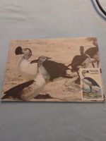 Carte postale illustrée avec timbre Venda, rare! Super!