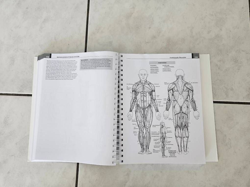 Bücher: Anatomie Malatlas – Gebraucht aus Wetzikon ZH von Lampi02 3