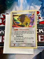 Pokémon / Tauros (CG 12) / Holo Rare / 2006 Jahrgang