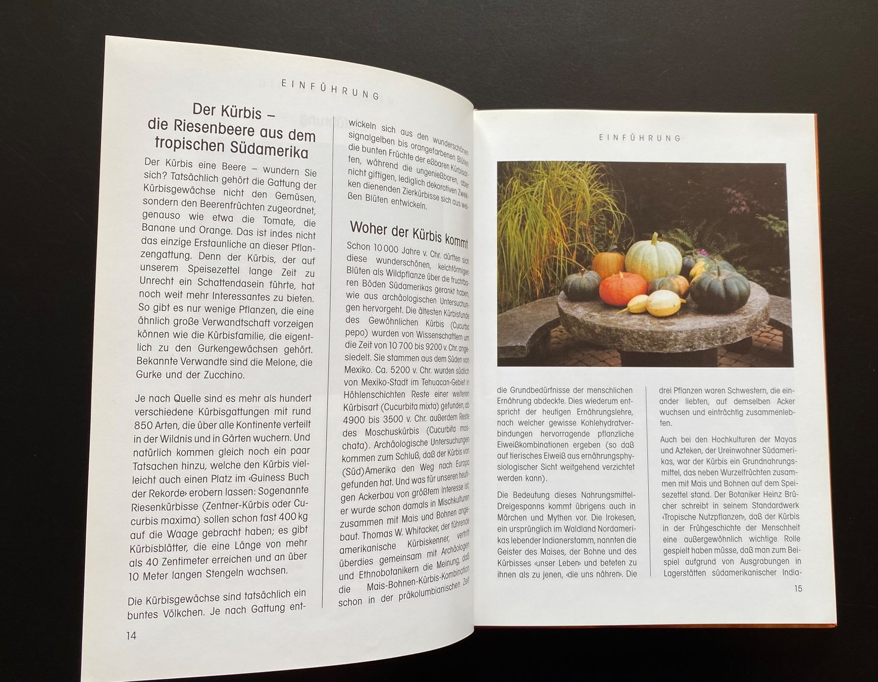 Libri: Das Kürbis-Kochbuch – Usato da Nussbaumen AG venduto da schuba2000 3