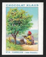Carte Correspondance Chocolat Klaus, Cannelier (1930s)