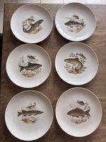 6 assiettes en porcelaine Bavaria décor poissons vintage