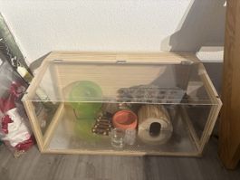 Terrarium mit viel Zubehör