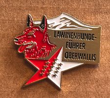 Pin, Lawinenhundeführer Oberwallis