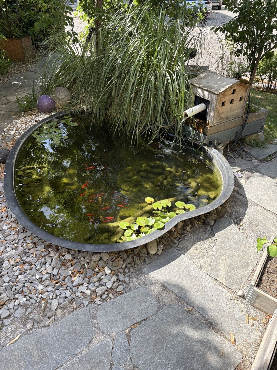 Etangs & Fontaines déco.: Biotop  – D'occasion à Rheineck par Boline 1