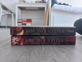 Bücher Fallen Kingdom 1+2 Dana Müller-Braun gute Zustände
