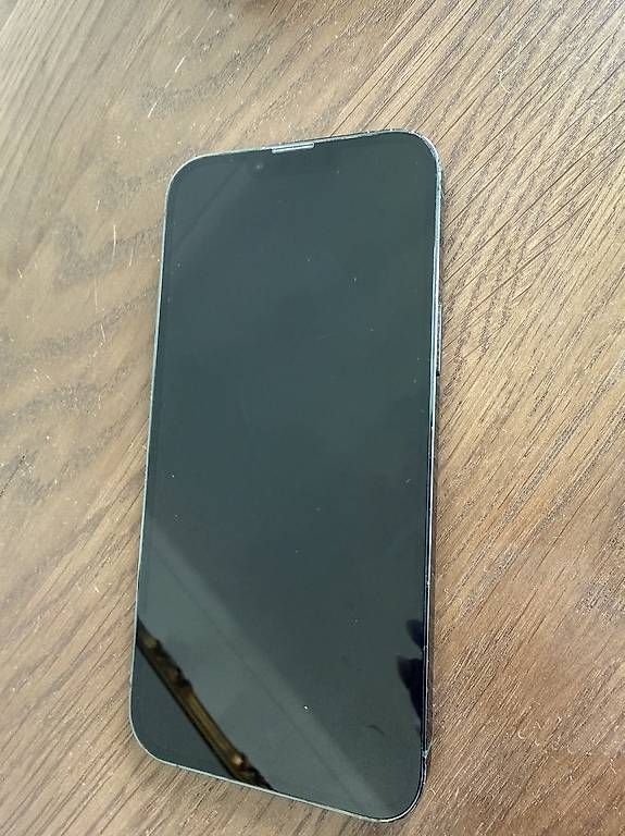 Handys / Smartphones: iPhone 13Pro Max Grün  – Gebraucht aus Küsnacht ZH von TinaSimona.31