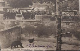 BERN - Bärengraben - La Fosse aux ours - 1905