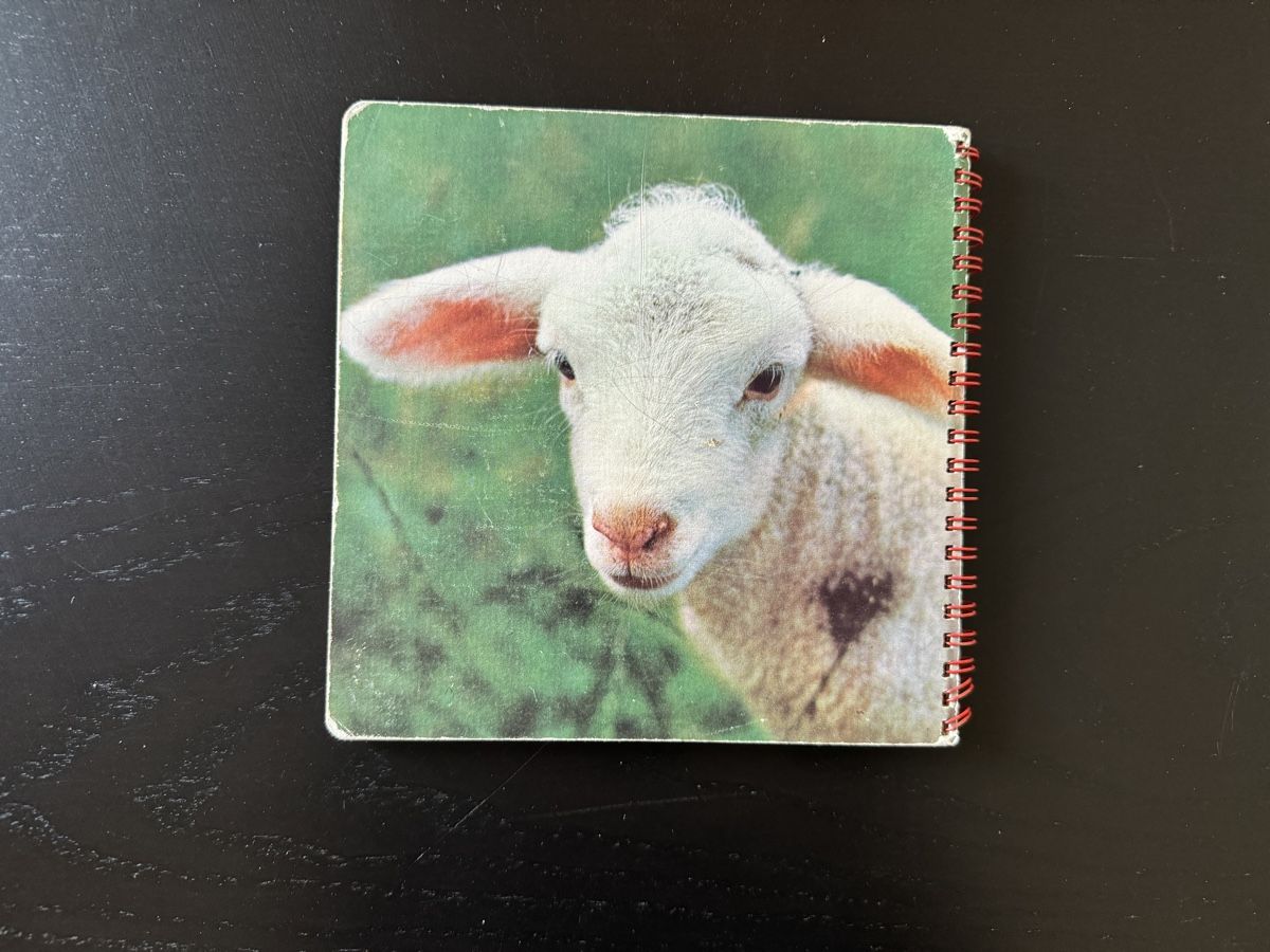 Bücher: "Unsere Haustiere" - Nostalgisches Kinderbuch – Gebraucht aus Erstfeld von Mario_boe0 6