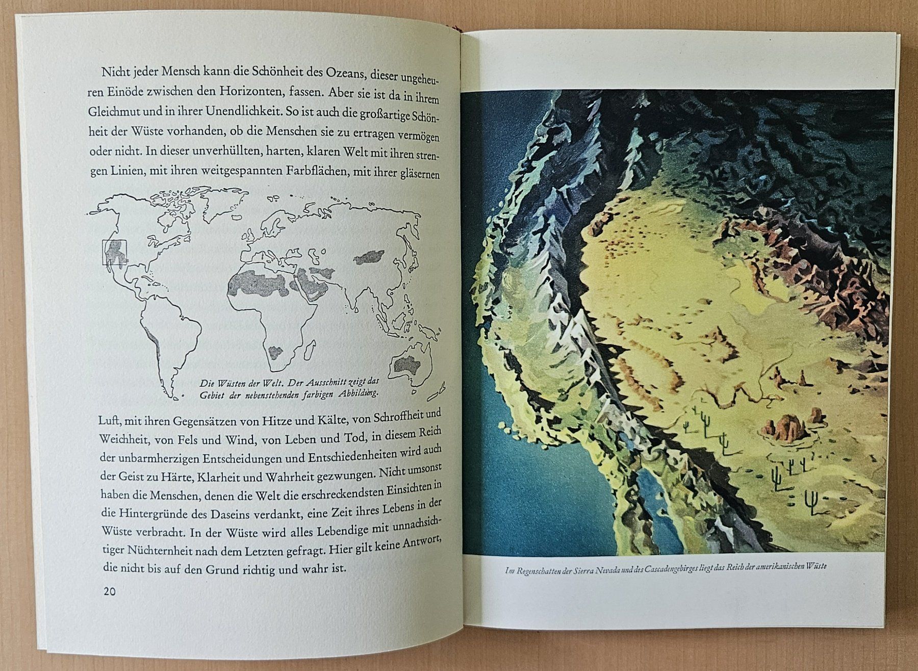 Libri: Walt Disney: Die Wüste lebt – Usato da Schaffhausen venduto da asyouwestley 5