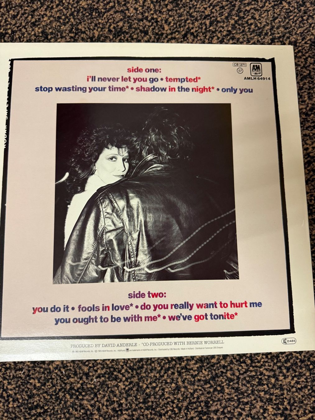 Dischi in vinile: Schallplatte / Rita Coolidge / never let you go – Usato da Freidorf TG venduto da sarotiko 1