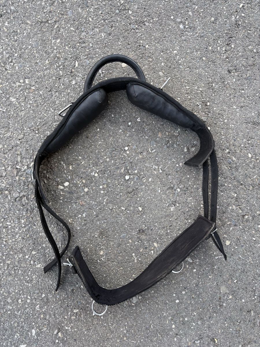 Sattel & Sattelzubehör: Voltigiergurt für (Mini) shetty – Gebraucht aus Ersigen von mealagh 1