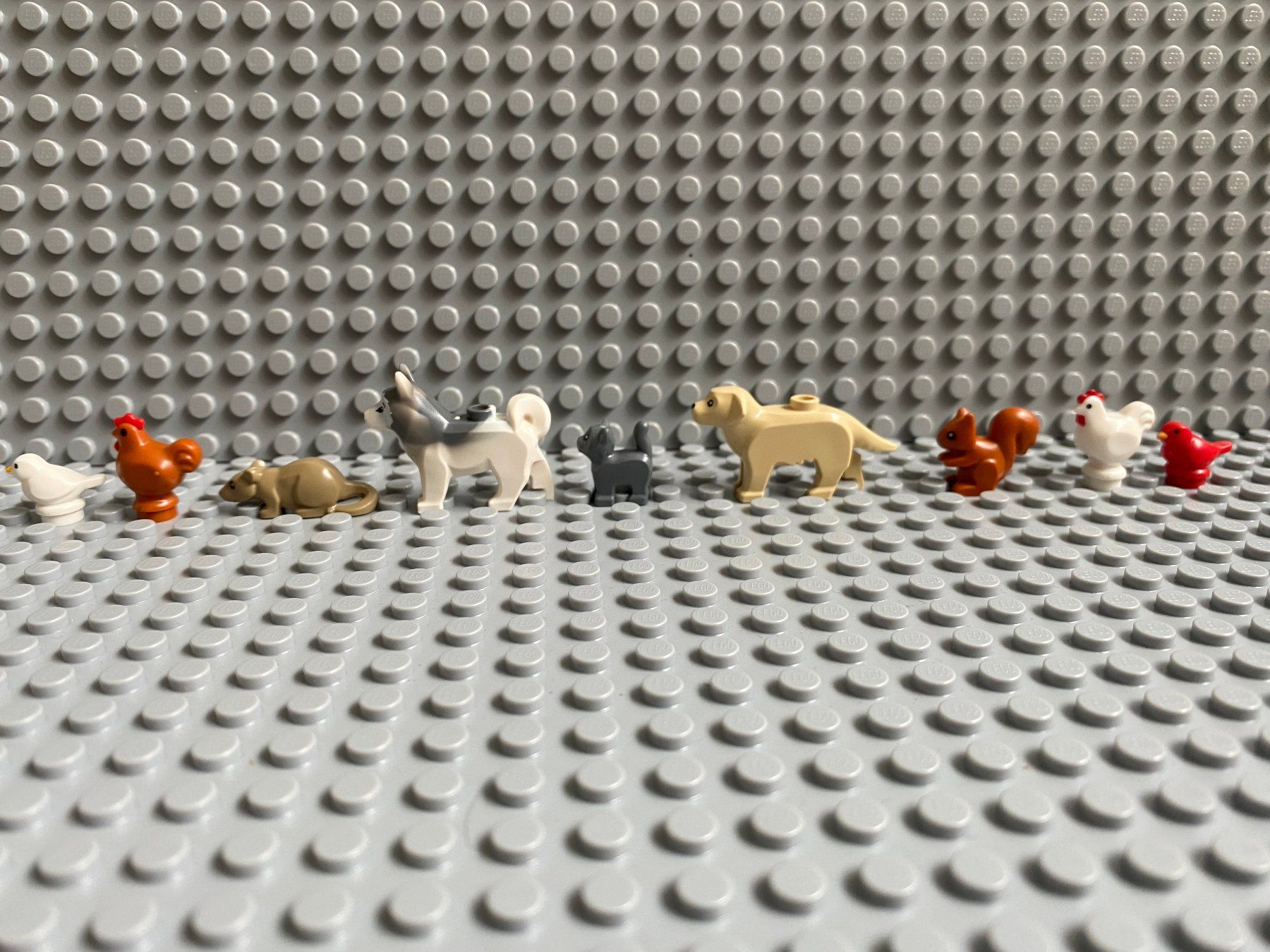 Lego Kit di costruzioni: Lego Tiere - 9 Stück – Nuovo (secondo la descrizione) da Horw venduto da G39517sG 1