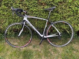 Specialized Roubaix Comp Rennrad in Top Zustand