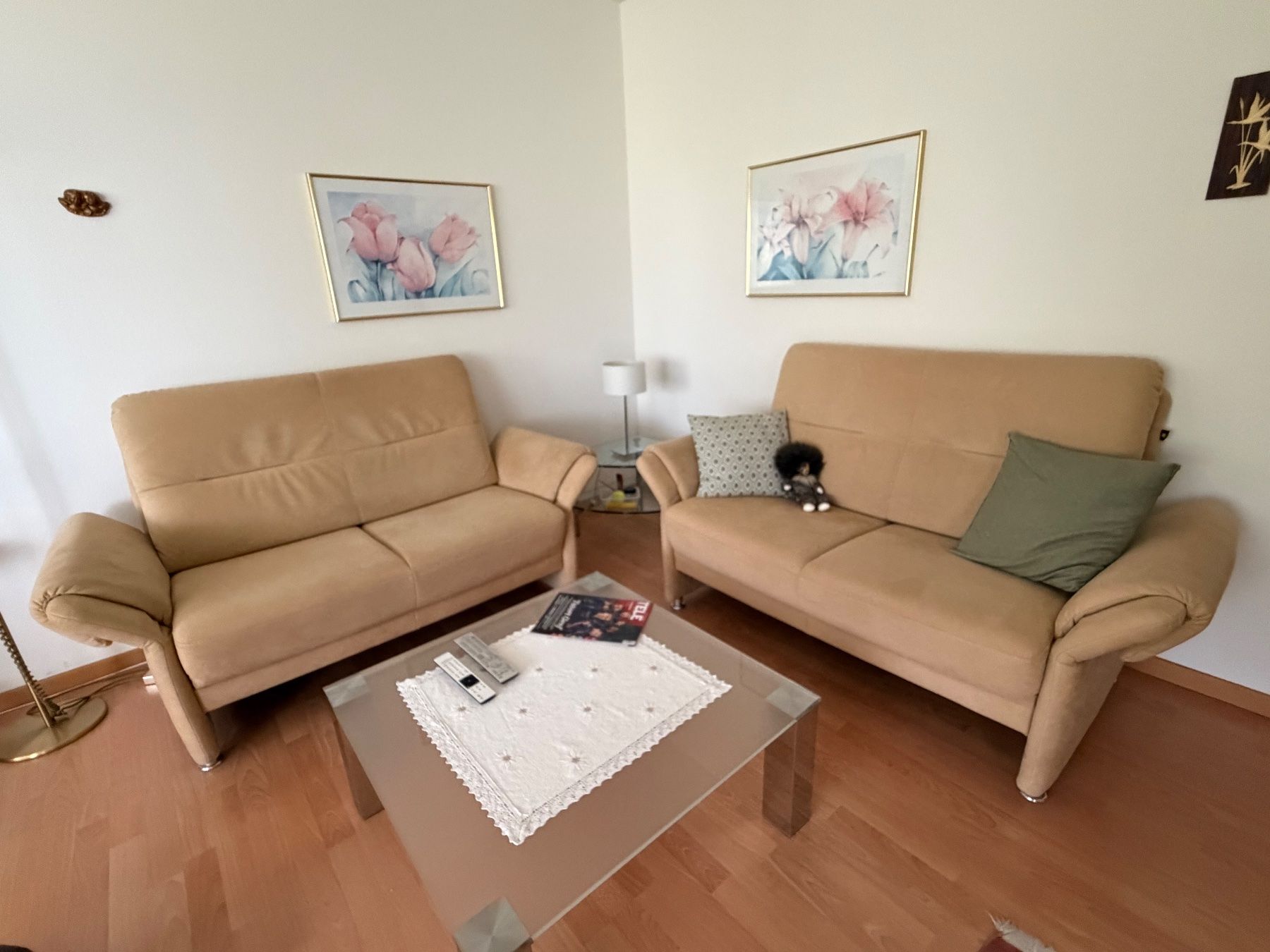 Divani: Sofa 2-Plätzig zwei Stücik – Usato da Luzern venduto da pingu767
