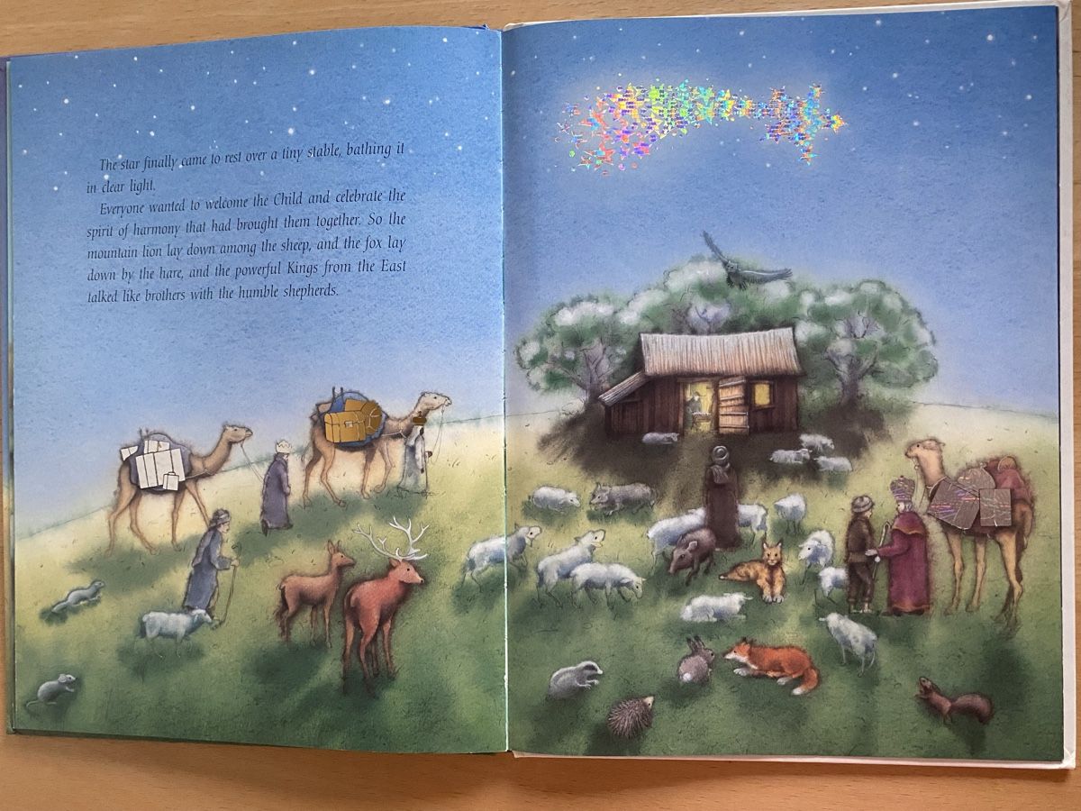 Libri: The Christmas Star - Marcus Pfister – Usato da Schwarzenburg venduto da Michellu 9