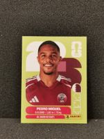 Panini Wm 2026 Sticker :Pedro Miguel Qat 7