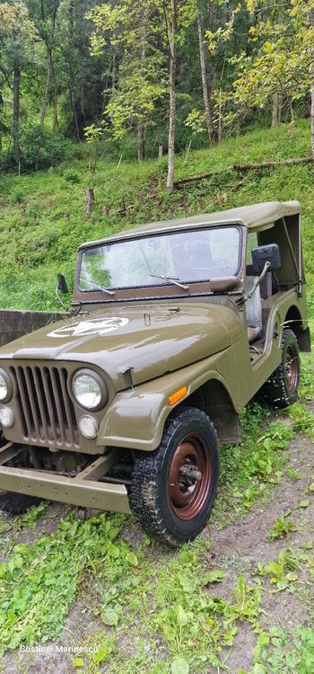 Willys cj5